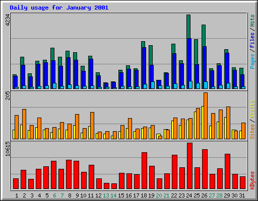 Daily usage for January 2001